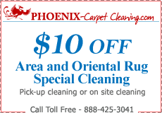 oriental carpet cleaning