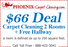 carpet cleaning