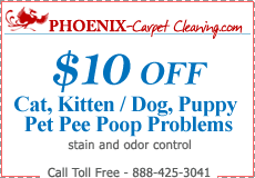 pet odors and stains removal