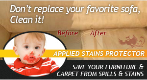 carpet and upholstery stain removal