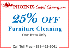 furniture cleaning